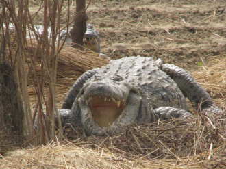 03 Un Sourire D Acier